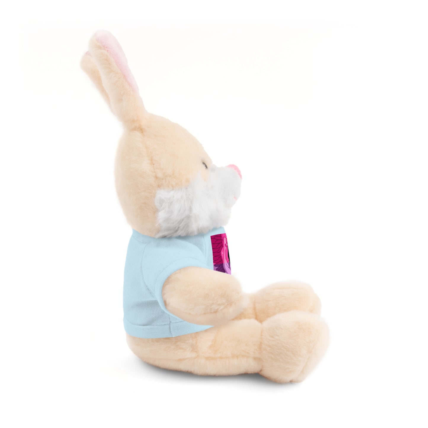 Plush Bear with Graphic Tee — Cute Pink & Blue Skateboard Design