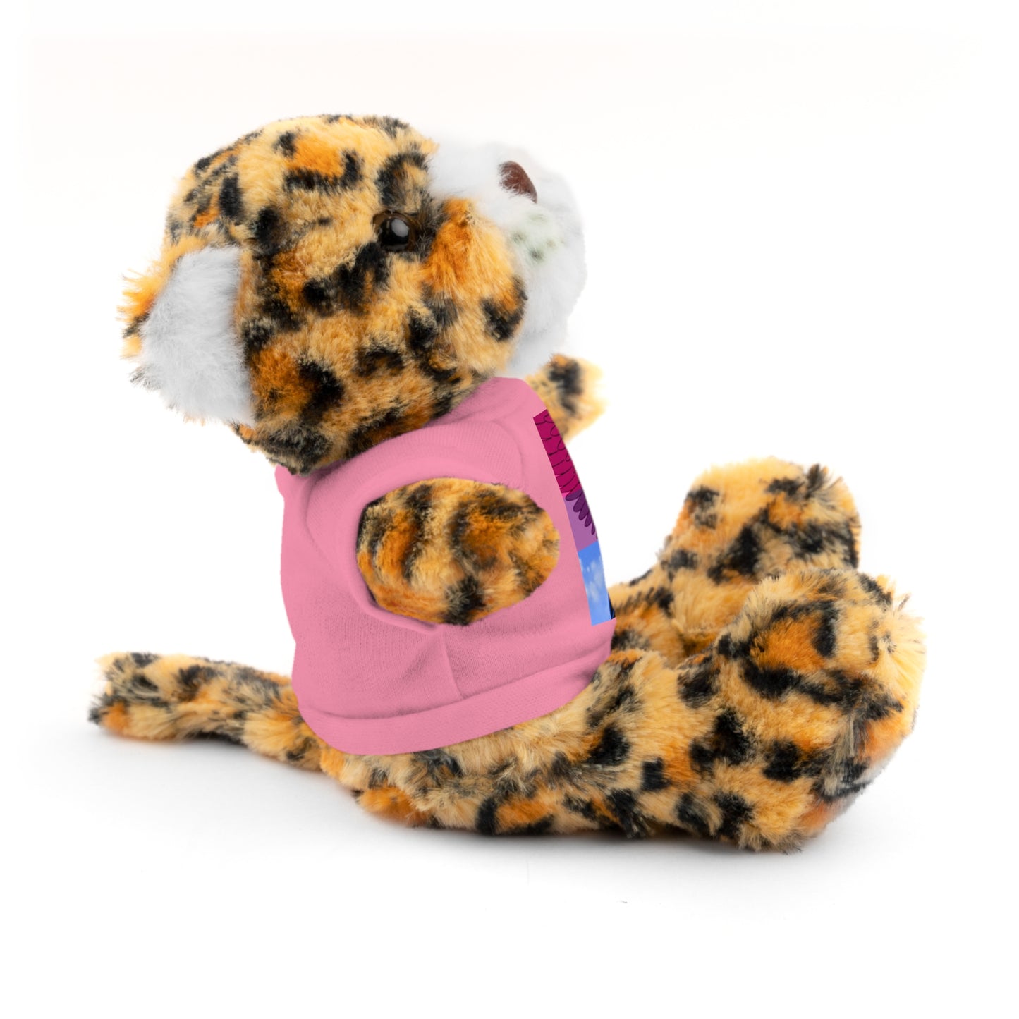 Plush Bear with Graphic Tee — Cute Pink & Blue Skateboard Design