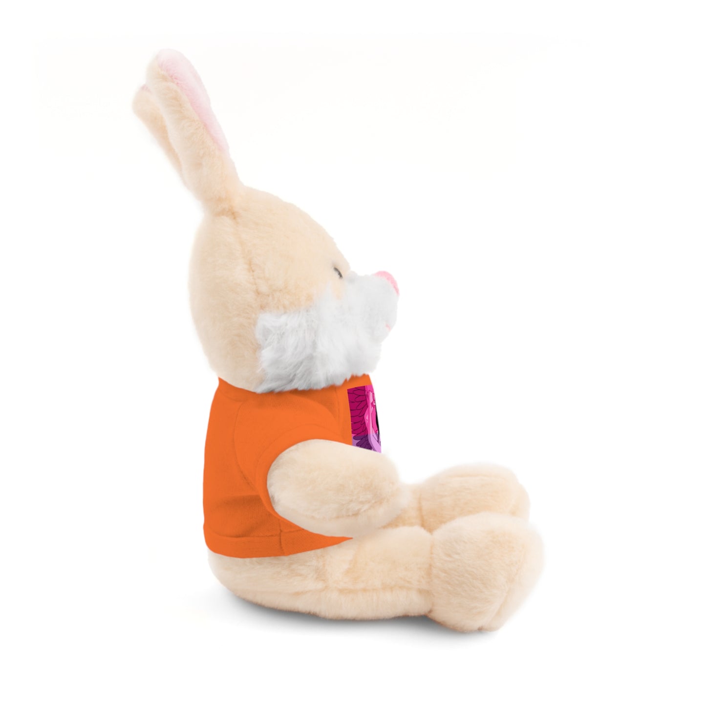 Plush Bear with Graphic Tee — Cute Pink & Blue Skateboard Design